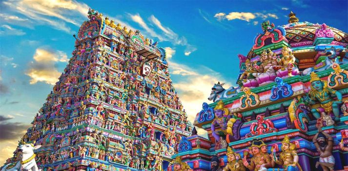 Viaggio in India del sud: Tamil Nadu e Kerala